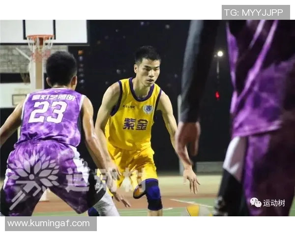 广州篮球队实力分析及其在联赛中的表现评估与趋势研究